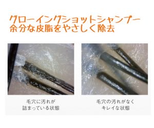 グローイングショットシャンプー