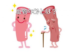 血管 年齢