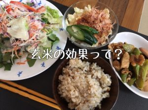 玄米 和食 ご飯